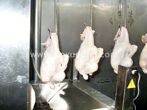 懸掛油炸生產(chǎn)線4